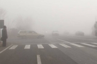 ГИБДД предупредила о сильном тумане на дорогах Ростовской области