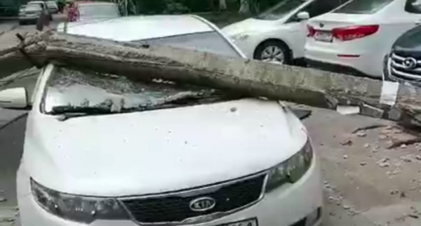 В Ростове упавший столб раздавил припаркованный автомобиль