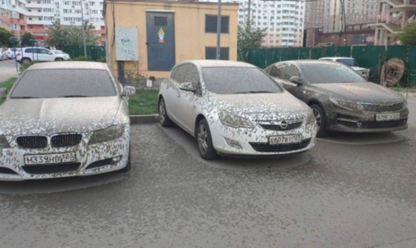 В Краснодаре строители случайно залили бетоном несколько автомобилей