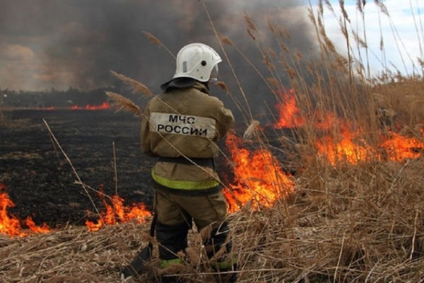 Задымление от лесных пожаров второй день держится в Челябинской области