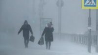 МЧС предупредило о сильном ветре и снегопаде в Алтайском крае 10 января