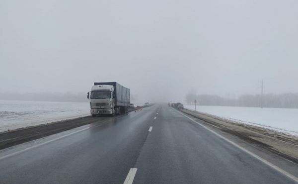 Госавтоинспекция предупредила водителей о сильном тумане в Ростовской области