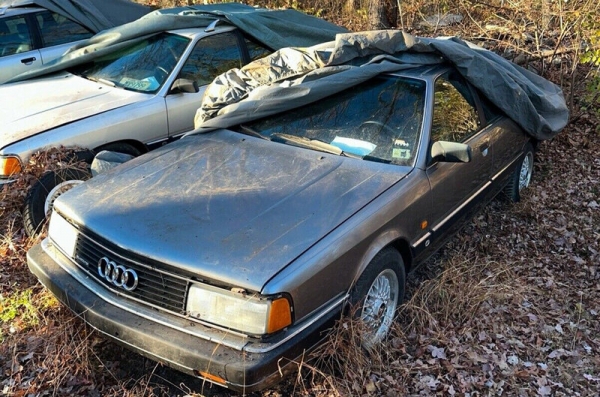 В США продают коллекцию из 43 автомобилей Audi 80. Свалку машин сняли на фото