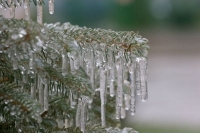В Ростове к вечеру 3 декабря ожидается ледяной дождь