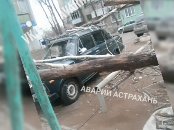 В Астрахани ураган повалил деревья на припаркованные автомобили