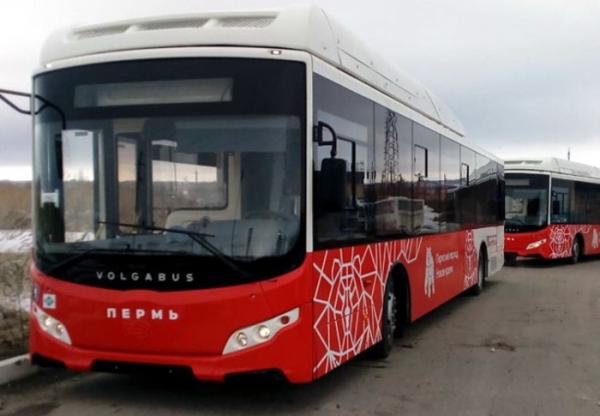 В Перми автобусный маршрут №36 запустят по укороченной схеме