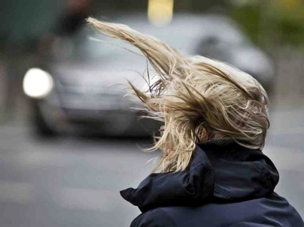 В Ростове ожидается усиление ветра до 21 метра в секунду