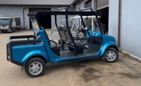 «Группа ГАЗ» запустила производство электромобилей в формате гольф-каров