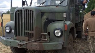 Saurer