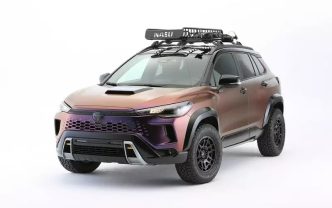 Toyotanasu