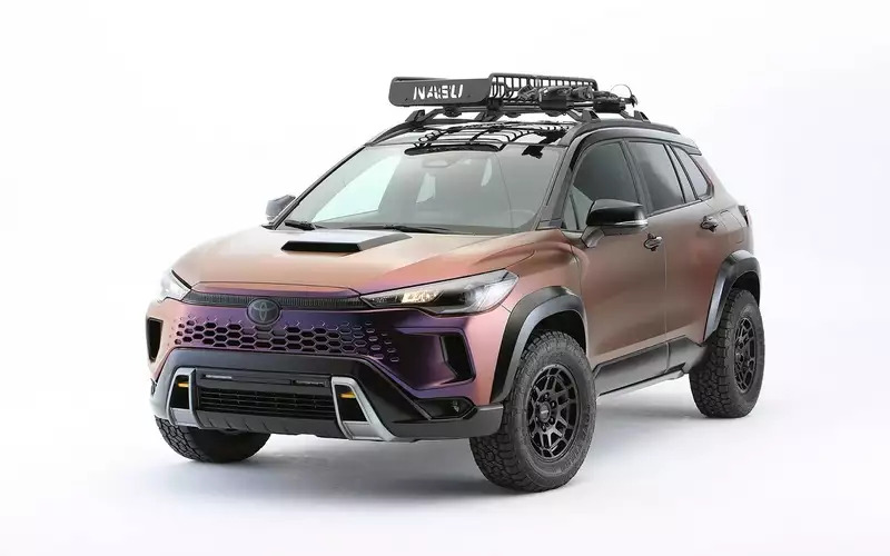Toyotanasu