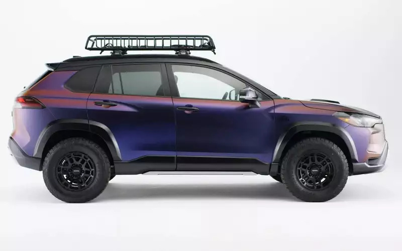 Toyotanasu2