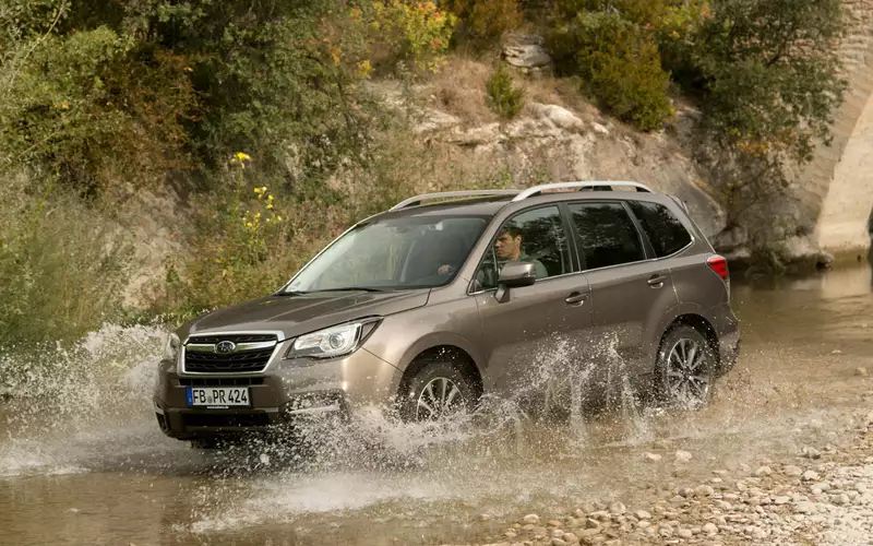 Forester