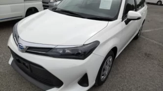 Toyota Corolla Fielder Nke165g 2wd