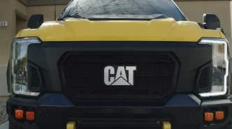 Catpick3