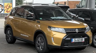 Suzukivitara