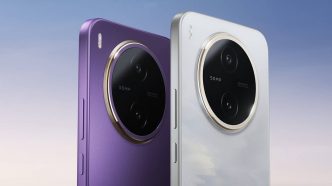 Vivo