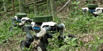 Robo