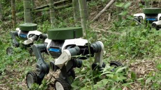 Robo